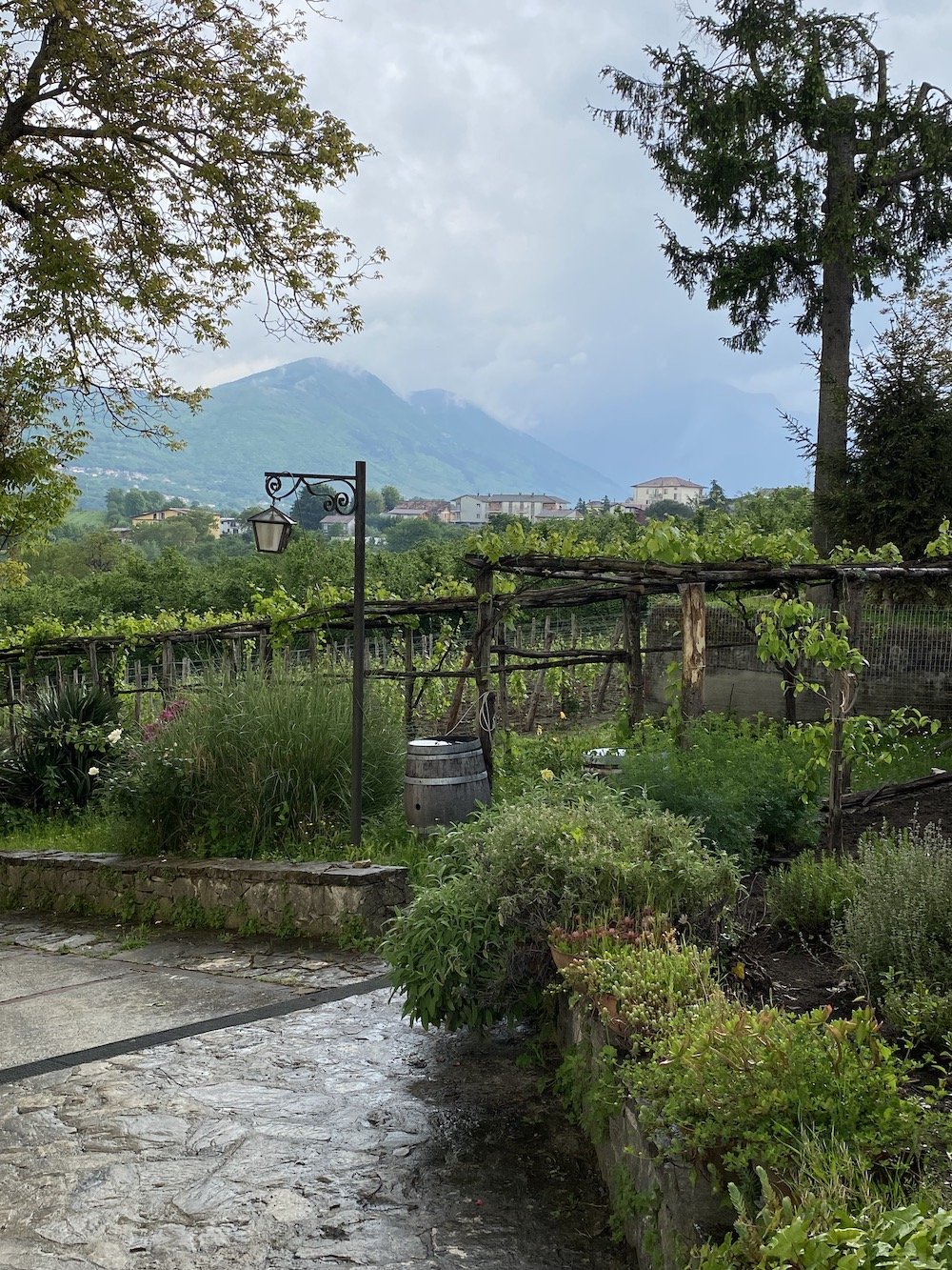 cantina i Favati