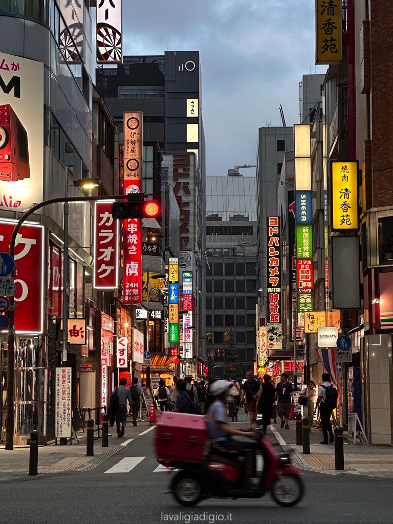 itinerario giappone express - TOKYO by night