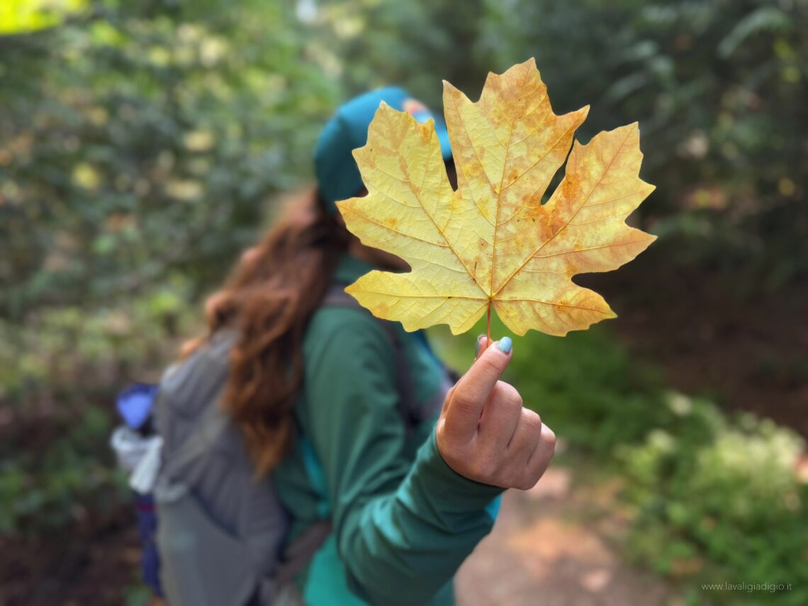 itinerario in Canada 15 giorni - Alberta e British Columbia