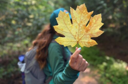 itinerario in Canada 15 giorni - Alberta e British Columbia