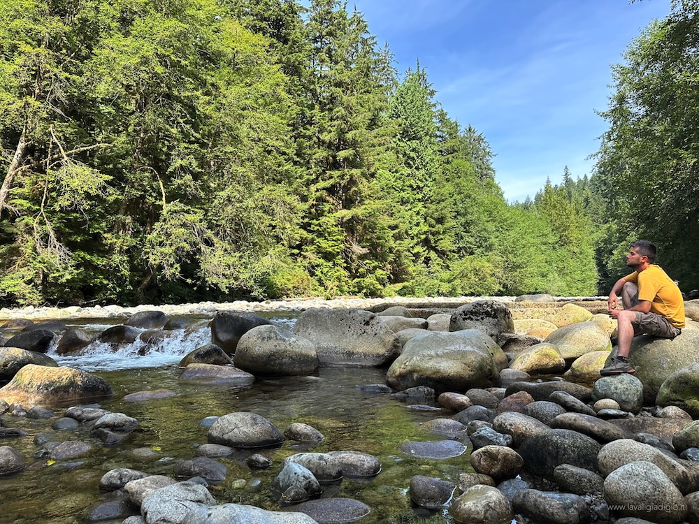 Vancouver cosa vedere