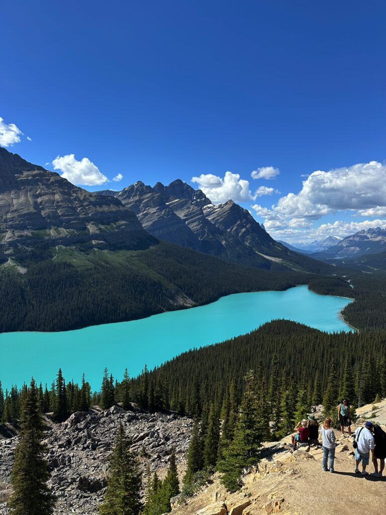 peyto lake