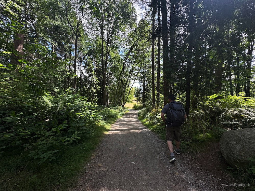 cosa fare a vancouver tre giorni