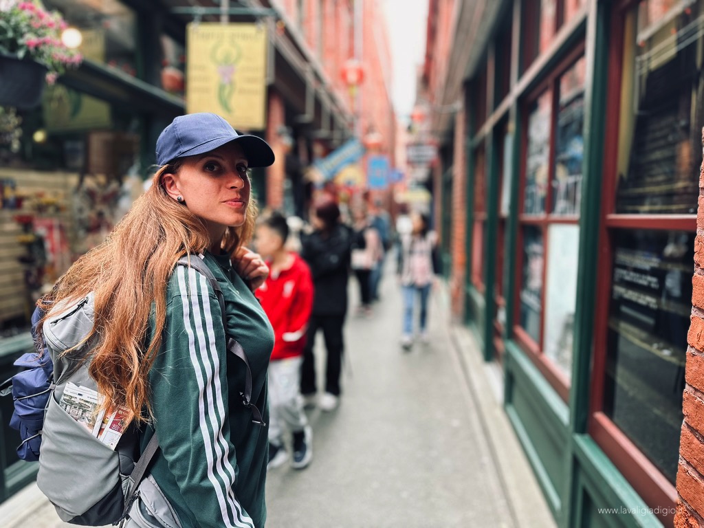 Victoria - chinatown Fan Tan Alley