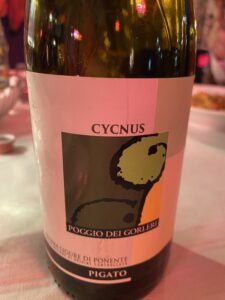 Pigato Cycnus Poggio dei Gorleri 2023