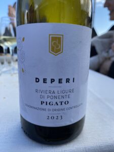 Pigato Deperi 2023